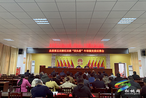 縣委第五巡察組向牛郎鎮(zhèn)黨委反饋巡察“回頭看”情況