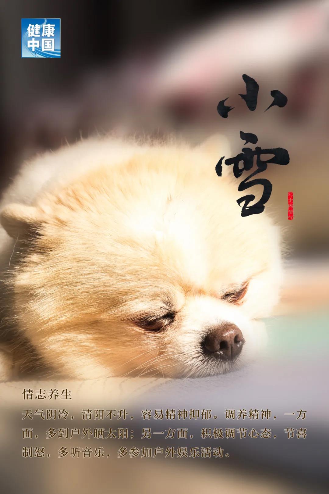 今日小雪，天愈冷，寒更甚！養(yǎng)生五要素，健康過(guò)好冬！