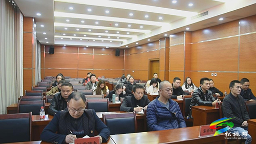 松桃召開中共貴州樂嘉文創(chuàng)科技有限公司支部成立暨選舉會議