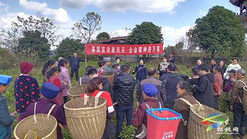 松桃：全會(huì)精神“雙語”講，授藝又收徒