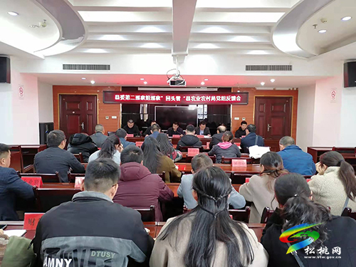 縣委第二巡察組向縣農(nóng)業(yè)農(nóng)村局黨組反饋巡察情況