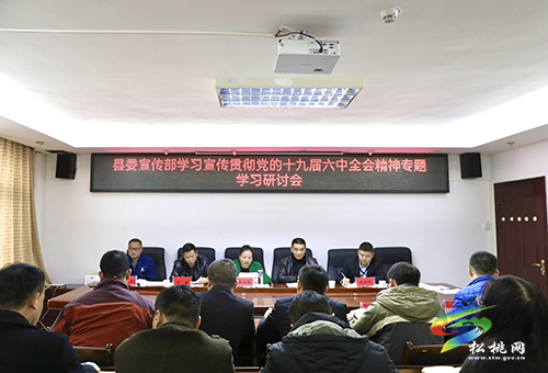 縣委宣傳部召開學習宣傳貫徹黨的十九屆六中全會精神專題學習研討會
