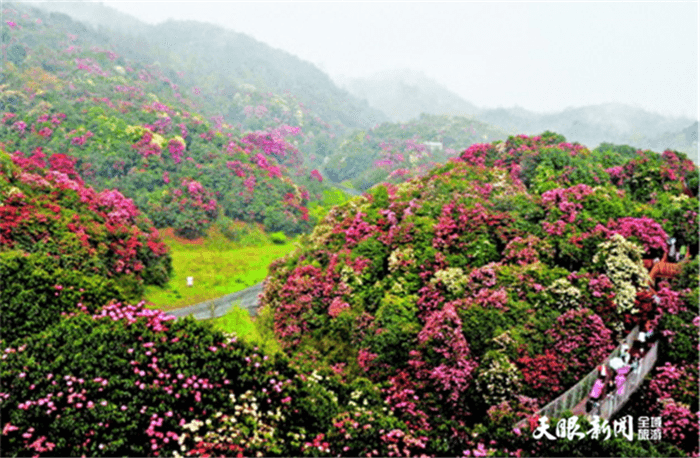 2021年玩轉(zhuǎn)多彩貴州,請(qǐng)收藏12個(gè)月主題旅行打卡清單!