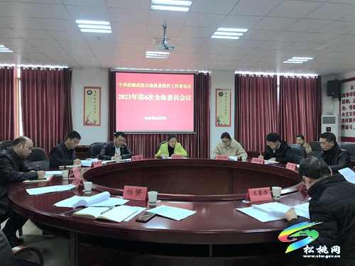 中共松桃苗族自治縣委教育工作委員會(huì)2021年第六次委員會(huì)議召開(kāi)