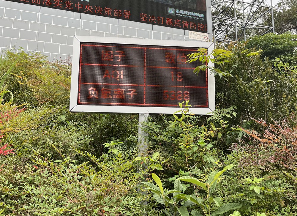 風(fēng)景名勝區(qū)遞出環(huán)?！靶旅宝螯S果樹(shù)景區(qū)負(fù)氧離子濃度遠(yuǎn)超“空氣清新”最高標(biāo)準(zhǔn)