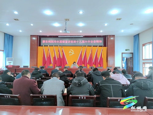 廖東梅到冷水溪鎮(zhèn)宣講黨的十九屆六中全會精神