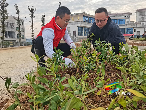 【我為群眾辦實(shí)事】盤信鎮(zhèn)：積極踐行初心使命，努力建設(shè)宜居環(huán)境