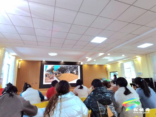 孟溪幼兒園2021年秋季學(xué)期安吉放手游戲三級培訓(xùn)