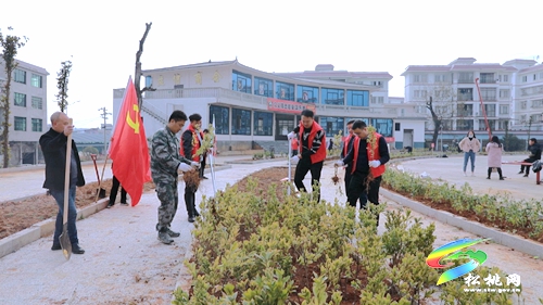 【我為群眾辦實(shí)事】盤信鎮(zhèn)：植樹添新綠　努力建設(shè)宜居環(huán)境