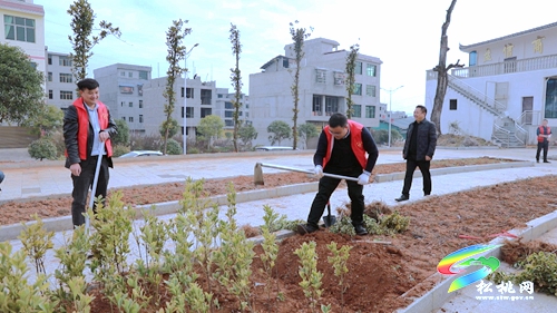 【我為群眾辦實(shí)事】盤信鎮(zhèn)：植樹添新綠　努力建設(shè)宜居環(huán)境