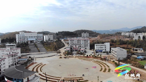 【我為群眾辦實(shí)事】盤信鎮(zhèn)：植樹添新綠　努力建設(shè)宜居環(huán)境