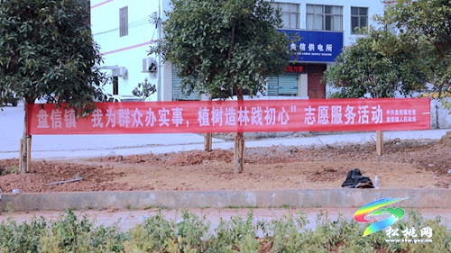 【我為群眾辦實(shí)事】盤信鎮(zhèn)：植樹添新綠　努力建設(shè)宜居環(huán)境