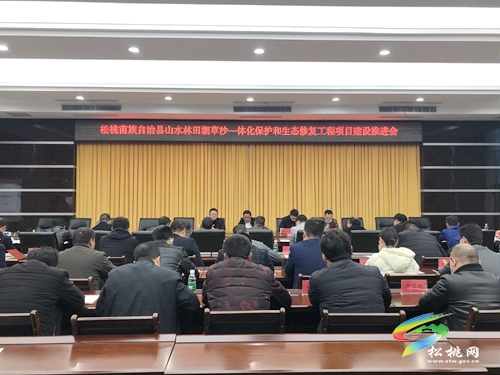 松桃召開山水林田湖草沙一體化保護和生態(tài)修復工程項目建設推進會