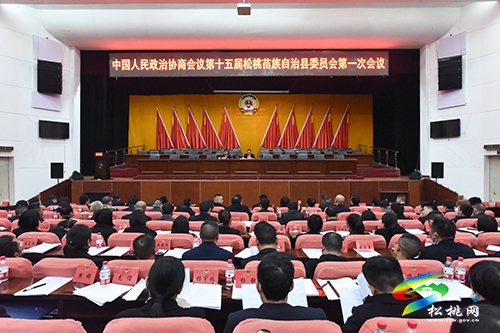 【聚焦“兩會(huì)”】中國人民政治協(xié)商會(huì)議第十五屆松桃苗族自治縣委員會(huì)第一次會(huì)議換屆風(fēng)氣監(jiān)督培訓(xùn)會(huì)召開