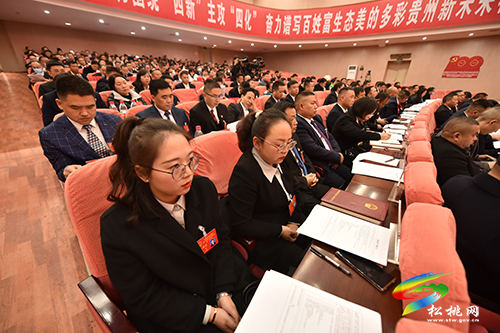【聚焦“兩會(huì)”】松桃苗族自治縣第十七屆人民代表大會(huì)第一次會(huì)議代表培訓(xùn)會(huì)召開(kāi)