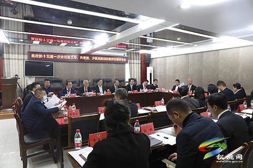【聚焦“兩會(huì)”】政協(xié)委員話心聲　凝心聚力謀發(fā)展