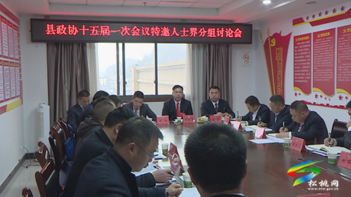 【聚焦“兩會(huì)”】政協(xié)委員話心聲　凝心聚力謀發(fā)展
