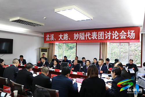 ​【聚焦“兩會(huì)”】謀發(fā)展 話民生:人大各代表團(tuán)開展分組討論