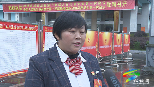 ​【聚焦“兩會(huì)”】謀發(fā)展 話民生:人大各代表團(tuán)開展分組討論
