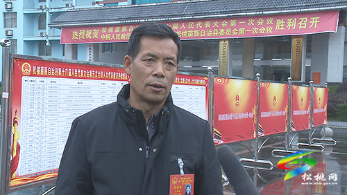 ​【聚焦“兩會(huì)”】謀發(fā)展 話民生:人大各代表團(tuán)開展分組討論