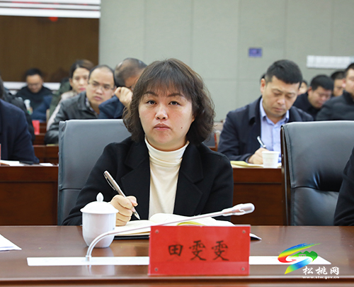 松桃鞏固拓展脫貧攻堅成果同鄉(xiāng)村振興有效銜接推進會召開