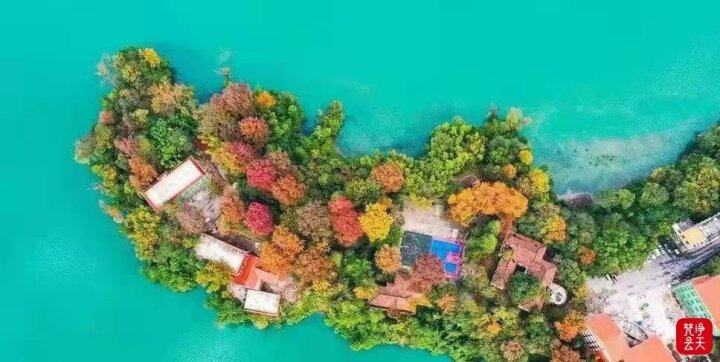 聚焦黨代會·報告解讀 | 綠色發(fā)展高地展現(xiàn)蓬勃生機