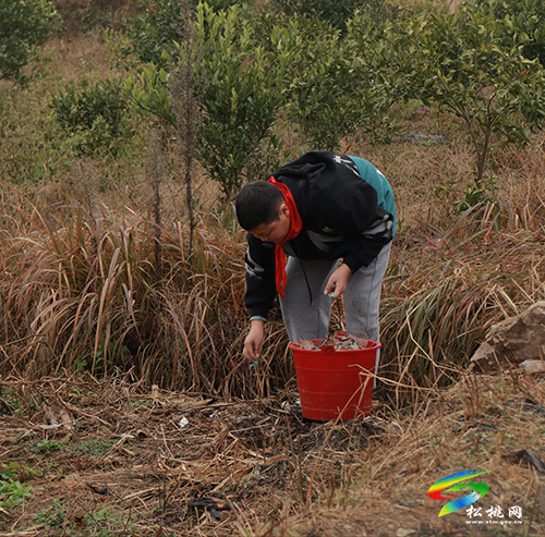 大坪場鎮(zhèn)江村：開展環(huán)境衛(wèi)生整治活動