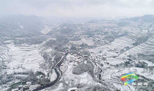 松桃：冬日梯田美如畫(huà)