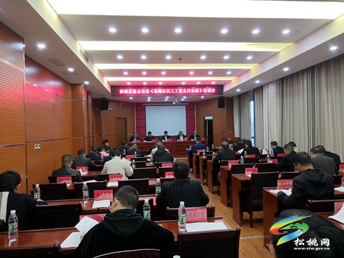 松桃實施“四大工程”惠民增效