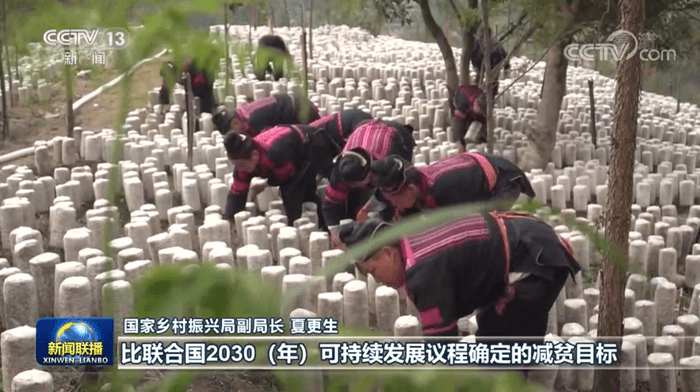 8年持續(xù)奮斗 1億人脫貧！中國(guó)脫貧攻堅(jiān)創(chuàng)造歷史偉業(yè)