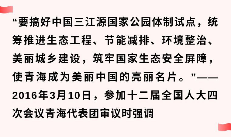 鏡觀·領(lǐng)航丨這個(gè)地方，總書記一直牽掛