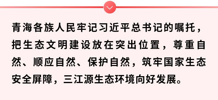 鏡觀·領(lǐng)航丨這個(gè)地方，總書記一直牽掛
