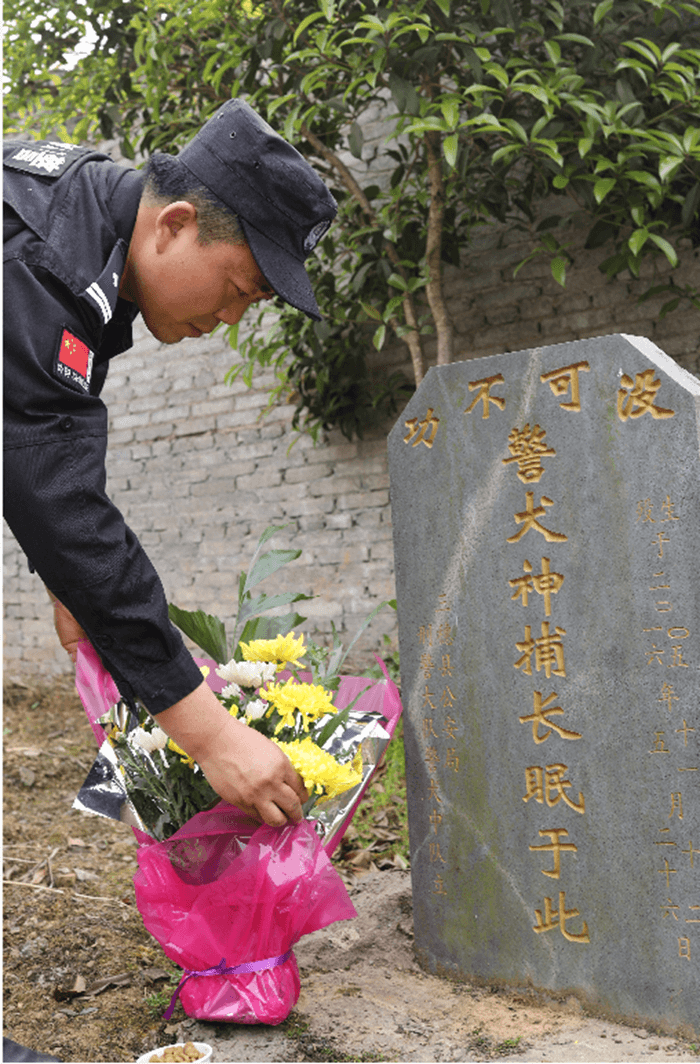 “神捕”最后一次出征，跛著腳，第一時(shí)間咬住了嫌疑人