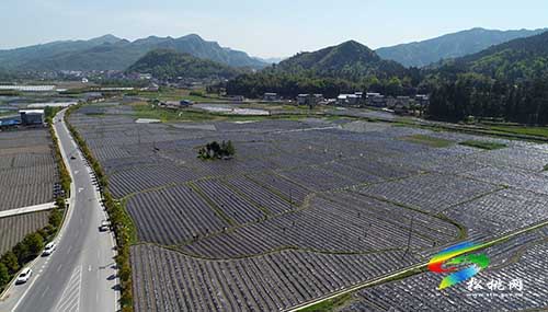 【最美高速路 一品沿印松】沿著沿印松高速看苗鄉(xiāng)松桃