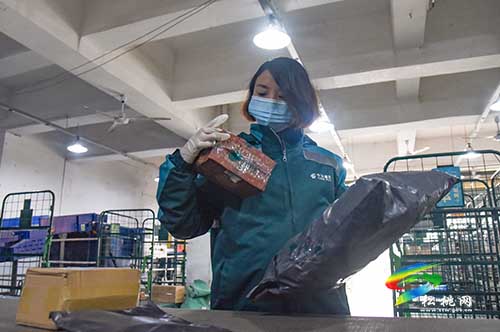 堅守崗位過元旦