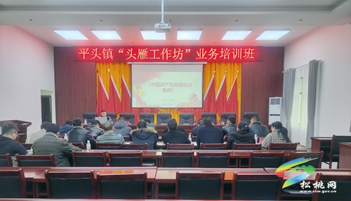 平頭鎮(zhèn)：擴大鎮(zhèn)域黨建“共建圈”，激活融合發(fā)展“原動力”