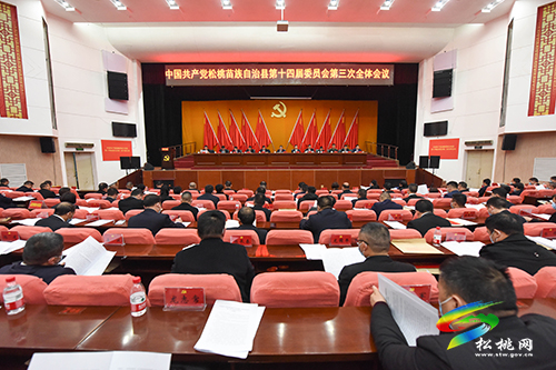 中國共產(chǎn)黨松桃苗族自治縣第十四屆委員會(huì)第三次全體會(huì)議勝利閉幕