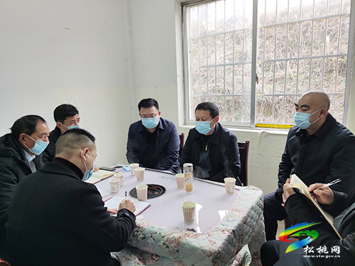 龍群躍到盤石長(zhǎng)坪調(diào)研督導(dǎo)疫情防控、節(jié)前安全生產(chǎn)等工作
