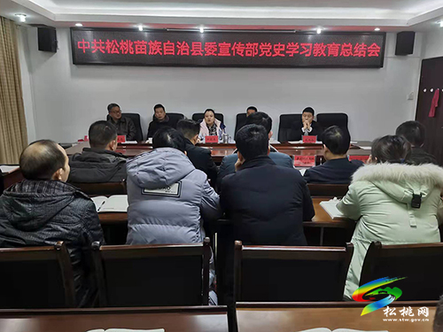 中共松桃苗族自治縣委宣傳部召開黨史學(xué)習(xí)教育總結(jié)會(huì)
