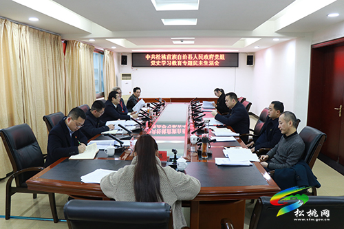 中共松桃苗族自治縣人民政府黨組黨史學(xué)習(xí)教育專題民主生活會(huì)召開