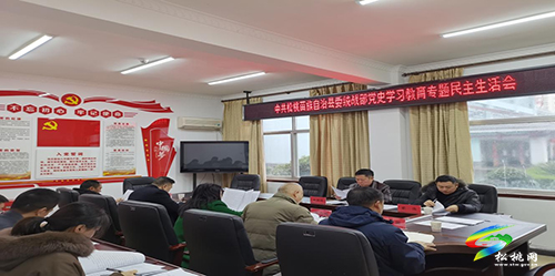 中共松桃苗族自治縣委統(tǒng)戰(zhàn)部召開黨史學習教育專題民主生活會
