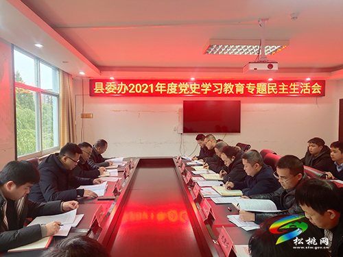 中共松桃苗族自治縣委辦公室黨史學(xué)習(xí)教育專(zhuān)題民主生活會(huì)召開(kāi)