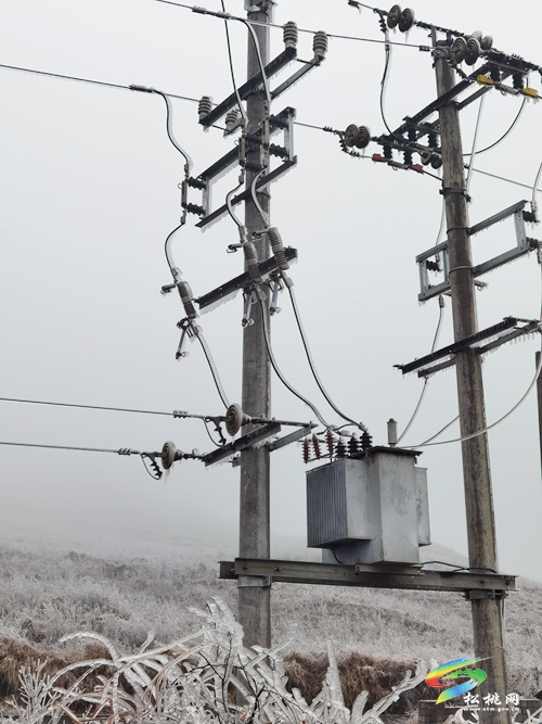松桃：應對低溫雪凝天氣 線路融冰保供電