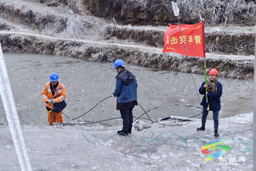 松桃：應對低溫雪凝天氣 線路融冰保供電