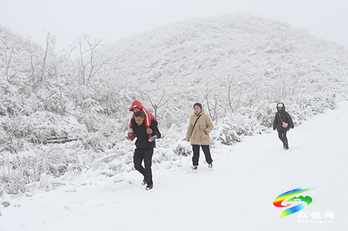 【新春走基層】松桃紅石林：雪景迎游客，歡樂過新春