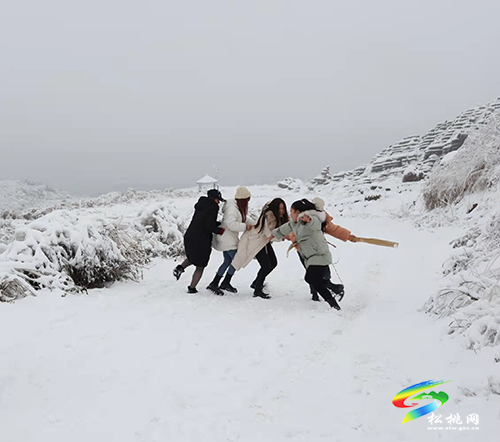 【新春走基層】松桃紅石林：雪景迎游客，歡樂過新春