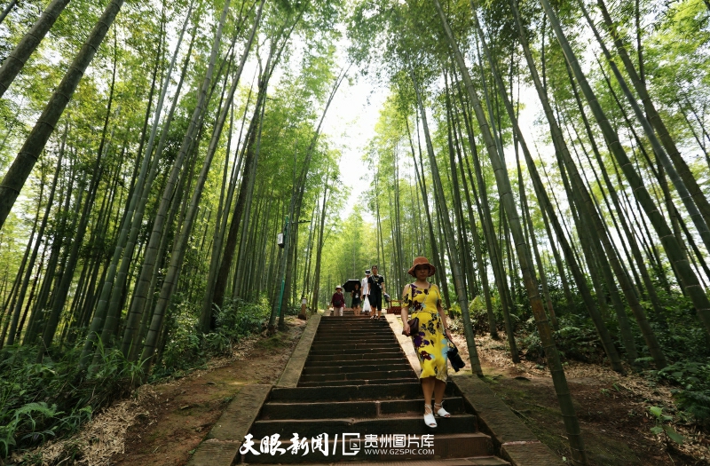 《貴州日報》刊登乾興平文章：牢記囑托闖新路 滿懷信心向未來