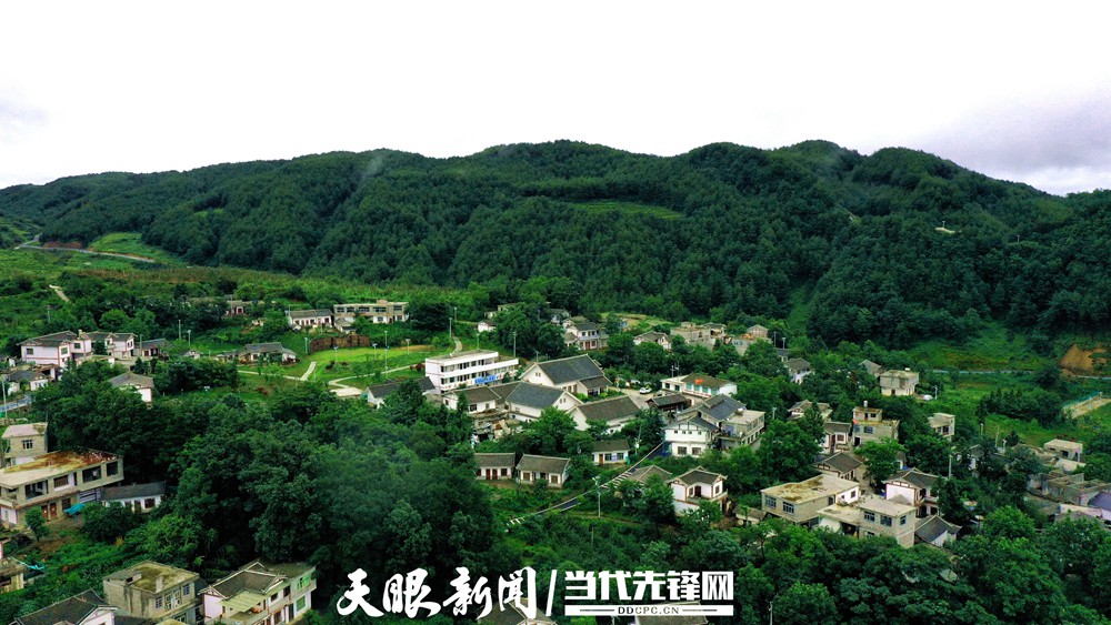 《貴州日報》刊登乾興平文章：牢記囑托闖新路 滿懷信心向未來