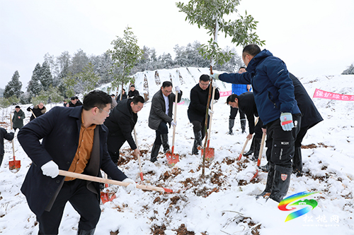 松桃開展2022年全民義務(wù)植樹活動(dòng)