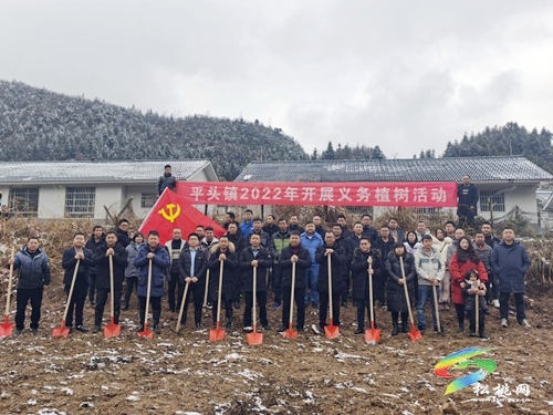 平頭鎮(zhèn)：植樹造林強綠化，鄉(xiāng)村振興添活力